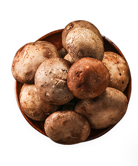 美鄰小廚美食膠囊食材